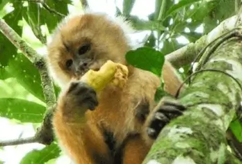 탐보파타 2D1N 정글 투어