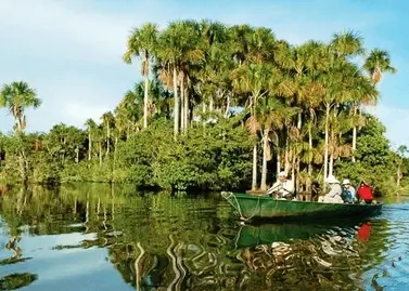 탐보파타 정글 3D2N 투어 살펴보기