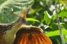 산도발 호수 4D3N 투어