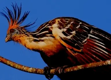 탐보파타 캠핑 탐험 투어 4박 5일