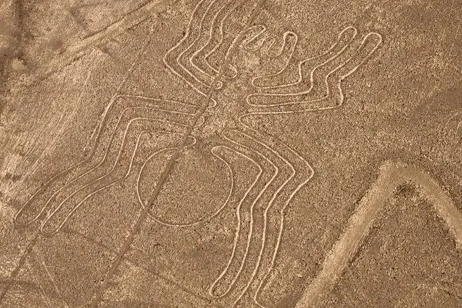 nazca lines araña