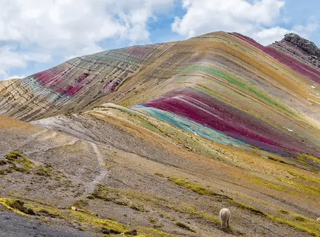 팔코 요 산 투어